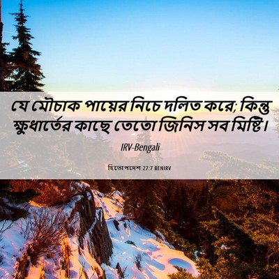 Picture 06 - হিতোপদেশ 27:7 BENIRV - যে মৌচাক পায়ের - Bible Verse Picture