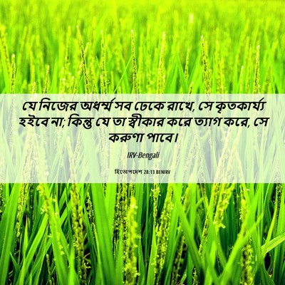 Picture 06 - হিতোপদেশ 28:13 BENIRV - যে নিজের অধর্ম্ম - Bible Verse Picture
