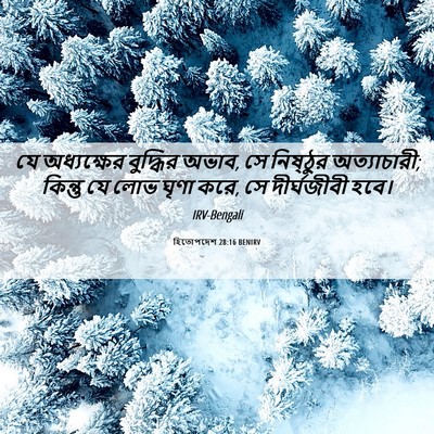Picture 06 - হিতোপদেশ 28:16 BENIRV - যে অধ্যক্ষের - Bible Verse Picture