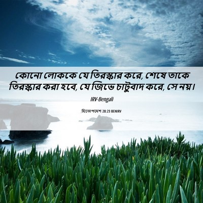 Picture 06 - হিতোপদেশ 28:23 BENIRV - কোনো লোককে যে - Bible Verse Picture