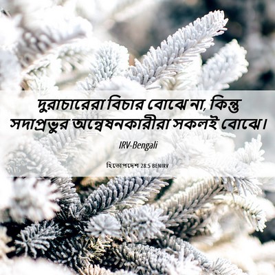 Picture 06 - হিতোপদেশ 28:5 BENIRV - দুরাচারেরা বিচার - Bible Verse Picture