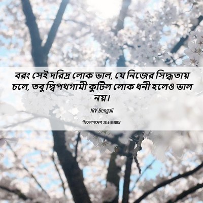 Picture 06 - হিতোপদেশ 28:6 BENIRV - বরং সেই দরিদ্র লোক - Bible Verse Picture