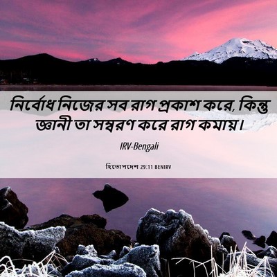 Picture 06 - হিতোপদেশ 29:11 BENIRV - নির্বোধ নিজের সব - Bible Verse Picture