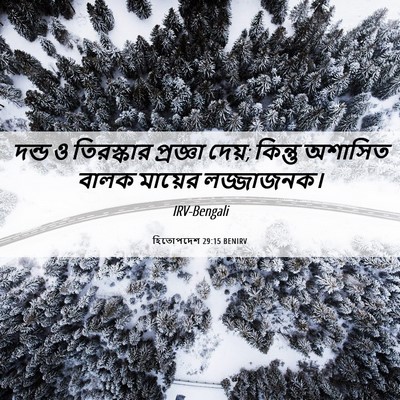 Picture 06 - হিতোপদেশ 29:15 BENIRV - দন্ড ও তিরস্কার - Bible Verse Picture