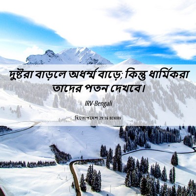 Picture 06 - হিতোপদেশ 29:16 BENIRV - দুষ্টরা বাড়লে - Bible Verse Picture