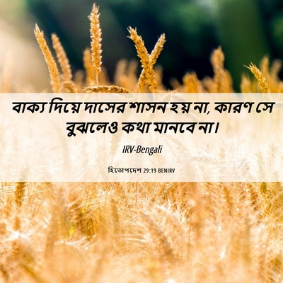 Picture 06 - হিতোপদেশ 29:19 BENIRV - বাক্য দিয়ে দাসের - Bible Verse Picture