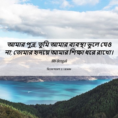 Picture 06 - হিতোপদেশ 3:1 BENIRV - আমার পুত্র, তুমি - Bible Verse Picture