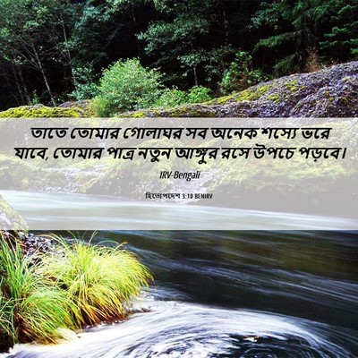 Picture 06 - হিতোপদেশ 3:10 BENIRV - তাতে তোমার গোলাঘর - Bible Verse Picture