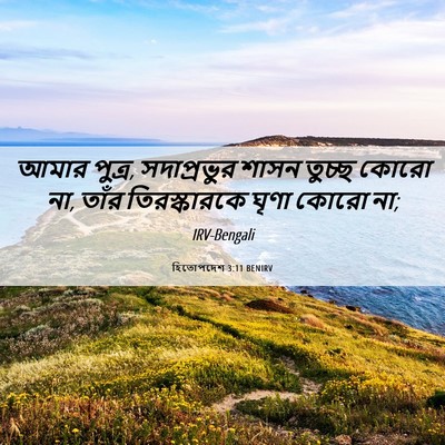 Picture 06 - হিতোপদেশ 3:11 BENIRV - আমার পুত্র, - Bible Verse Picture