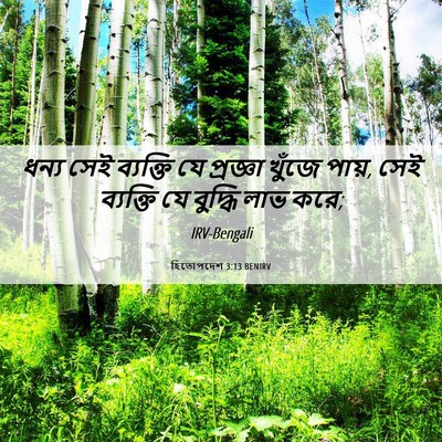 Picture 06 - হিতোপদেশ 3:13 BENIRV - ধন্য সেই ব্যক্তি - Bible Verse Picture