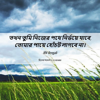 Picture 06 - হিতোপদেশ 3:23 BENIRV - তখন তুমি নিজের পথে - Bible Verse Picture