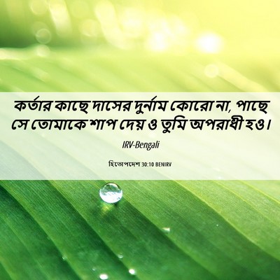 Picture 06 - হিতোপদেশ 30:10 BENIRV - কর্তার কাছে দাসের - Bible Verse Picture