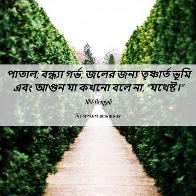 Picture 06 - হিতোপদেশ 30:16 BENIRV - পাতাল; বন্ধ্যা - Bible Verse Picture