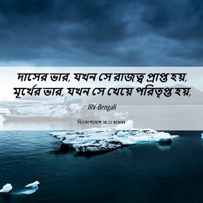 Picture 06 - হিতোপদেশ 30:22 BENIRV - দাসের ভার, যখন সে - Bible Verse Picture