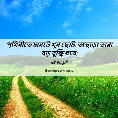 Picture 06 - হিতোপদেশ 30:24 BENIRV - পৃথিবীতে চারটে - Bible Verse Picture