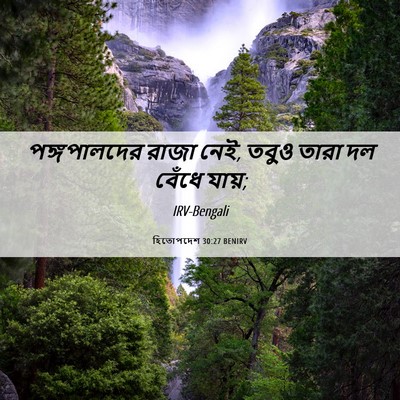 Picture 06 - হিতোপদেশ 30:27 BENIRV - পঙ্গপালদের রাজা - Bible Verse Picture