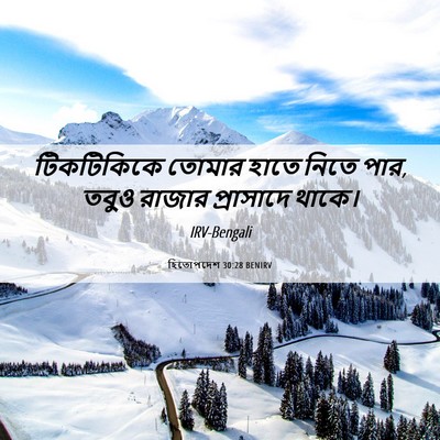 Picture 06 - হিতোপদেশ 30:28 BENIRV - টিকটিকিকে তোমার - Bible Verse Picture