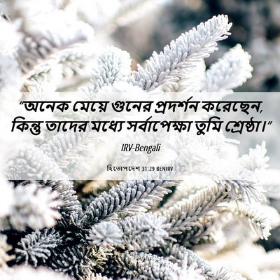 Picture 06 - হিতোপদেশ 31:29 BENIRV - “অনেক মেয়ে গুনের - Bible Verse Picture