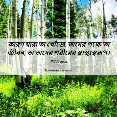 Picture 06 - হিতোপদেশ 4:22 BENIRV - কারণ যারা তা খোঁজে, - Bible Verse Picture