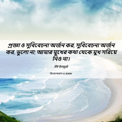 Picture 06 - হিতোপদেশ 4:5 BENIRV - প্রজ্ঞা ও - Bible Verse Picture