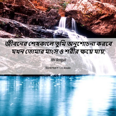 Picture 06 - হিতোপদেশ 5:11 BENIRV - জীবনের শেষকালে - Bible Verse Picture