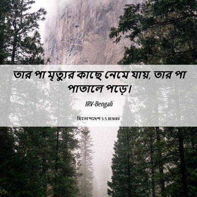Picture 06 - হিতোপদেশ 5:5 BENIRV - তার পা মৃত্যুর - Bible Verse Picture