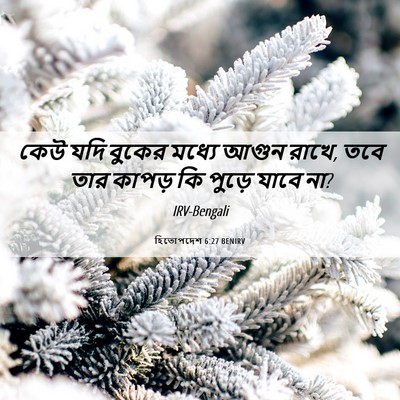 Picture 06 - হিতোপদেশ 6:27 BENIRV - কেউ যদি বুকের - Bible Verse Picture