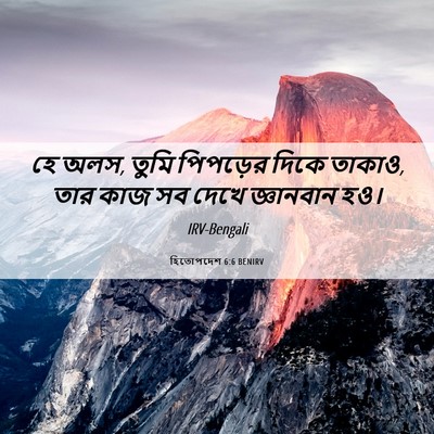 Picture 06 - হিতোপদেশ 6:6 BENIRV - হে অলস, তুমি - Bible Verse Picture
