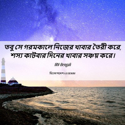Picture 06 - হিতোপদেশ 6:8 BENIRV - তবু সে গরমকালে - Bible Verse Picture