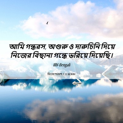 Picture 06 - হিতোপদেশ 7:17 BENIRV - আমি গন্ধরস, অগুরু ও - Bible Verse Picture