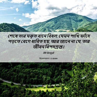 Picture 06 - হিতোপদেশ 7:23 BENIRV - শেষে তার যকৃত বানে - Bible Verse Picture