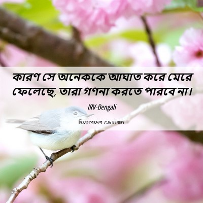 Picture 06 - হিতোপদেশ 7:26 BENIRV - কারণ সে অনেককে - Bible Verse Picture