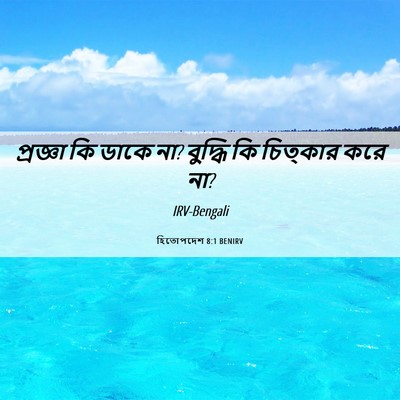 Picture 06 - হিতোপদেশ 8:1 BENIRV - প্রজ্ঞা কি ডাকে না? - Bible Verse Picture