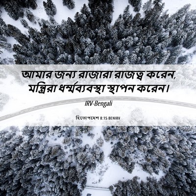 Picture 06 - হিতোপদেশ 8:15 BENIRV - আমার জন্য রাজারা - Bible Verse Picture