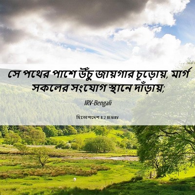 Picture 06 - হিতোপদেশ 8:2 BENIRV - সে পথের পাশে উঁচু - Bible Verse Picture