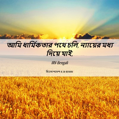 Picture 06 - হিতোপদেশ 8:20 BENIRV - আমি ধার্মিকতার - Bible Verse Picture
