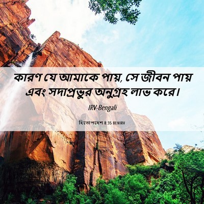 Picture 06 - হিতোপদেশ 8:35 BENIRV - কারণ যে আমাকে পায়, - Bible Verse Picture