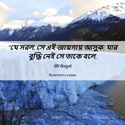 Picture 06 - হিতোপদেশ 9:4 BENIRV - “যে সরল, সে এই - Bible Verse Picture