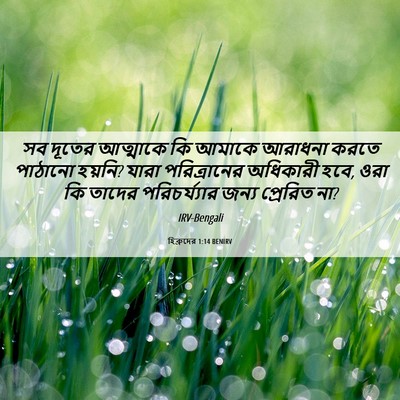 Picture 06 - হিব্রুদের 1:14 BENIRV - সব দূতের আত্মাকে - Bible Verse Picture