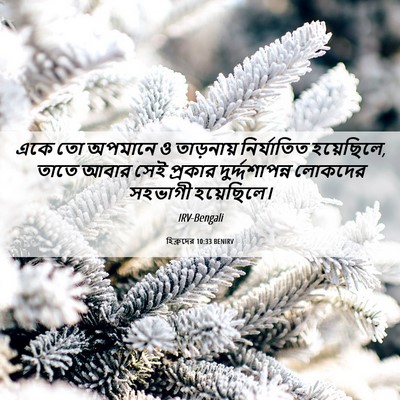 Picture 06 - হিব্রুদের 10:33 BENIRV - একে তো অপমানে ও - Bible Verse Picture