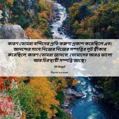 Picture 06 - হিব্রুদের 10:34 BENIRV - কারণ তোমরা - Bible Verse Picture