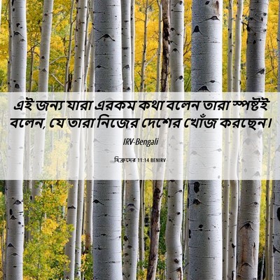 Picture 06 - হিব্রুদের 11:14 BENIRV - এই জন্য যারা এরকম - Bible Verse Picture