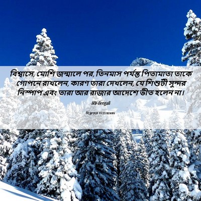 Picture 06 - হিব্রুদের 11:23 BENIRV - বিশ্বাসে, মোশি - Bible Verse Picture