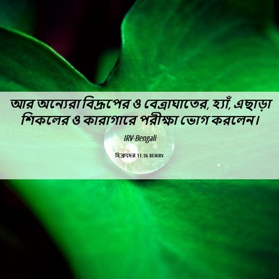 Picture 06 - হিব্রুদের 11:36 BENIRV - আর অন্যেরা - Bible Verse Picture