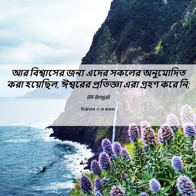 Picture 06 - হিব্রুদের 11:39 BENIRV - আর বিশ্বাসের জন্য - Bible Verse Picture
