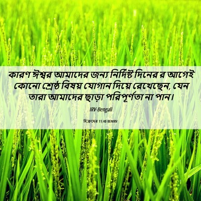 Picture 06 - হিব্রুদের 11:40 BENIRV - কারণ ঈশ্বর আমাদের - Bible Verse Picture