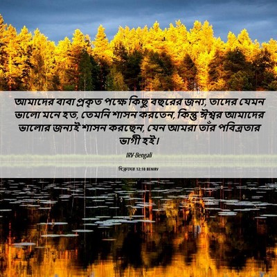 Picture 06 - হিব্রুদের 12:10 BENIRV - আমাদের বাবা - Bible Verse Picture