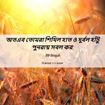 Picture 06 - হিব্রুদের 12:12 BENIRV - অতএব তোমরা শিথিল - Bible Verse Picture
