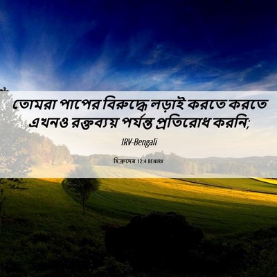 Picture 06 - হিব্রুদের 12:4 BENIRV - তোমরা পাপের - Bible Verse Picture