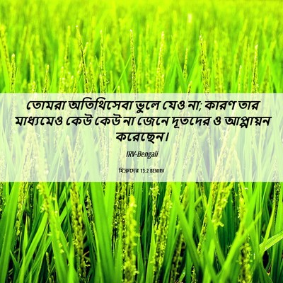 Picture 06 - হিব্রুদের 13:2 BENIRV - তোমরা অতিথিসেবা - Bible Verse Picture